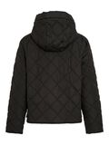 Product image thumbnail - HUVFÖRSEDD QUILTAD JACKA, Black | 7