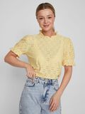 VILA EMBROIDERED SHORT SLEEVED TOP, Golden Haze, highres - 14070251_GoldenHaze_007.jpg